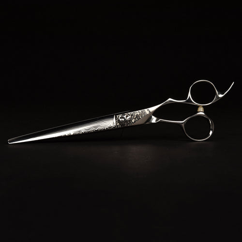 Hairdresser Professional Scissors